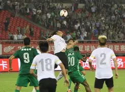 上海申鑫乐虎队面临保级压力，客场击败大连阿尔滨队的简单介绍
