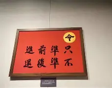 阿维尼翁队在比赛中勇往直前的简单介绍
